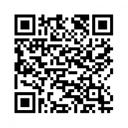 Schale Muschel ca. 21x 18 x 8,5 cm